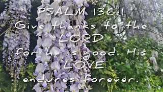 PSALM 136:1#verse #bible