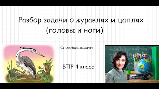 Задача о журавлях и цаплях (головы и ноги )