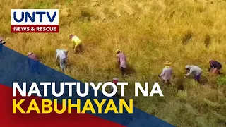 Ilang magsasaka at residente sa Bukidnon, umaaray na sa epekto ng El Niño