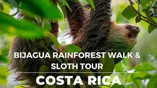 Exploring the Bijagua Rainforest and Finding Sloths! (DAY TRIP FROM TAMARINDO)