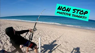 Monster SHARK FISHING! | Catching Giants From the Beach!