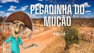 Pegadinhas do Mução - As Mais Antigas I Vol.18