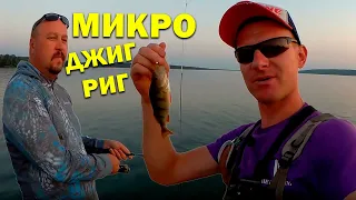 Ловля окуня на водохранилище на микро джиг-риг