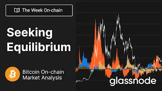 The Week On-chain: Seeking Equilibrium - Week 22, 2023 (Bitcoin Onchain Analysis)