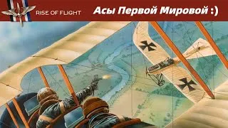 Rise of Flight - Асы Первой Мировой :) #5