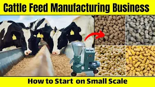 How to Start a Cattle Feed Manufacturing Business on Small Scale