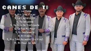 Los Tucanes De Tijuana-Essential hits of 2024-Superior Hits Playlist-Equitable