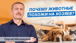 Почему животные похожи на своих хозяев ?