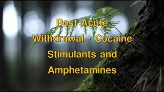 Post Acute Withdrawal (PAWS)