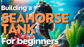 Building a Seahorse Tank for Beginners