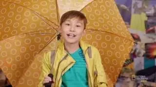 Learn About Thunderstorms | Nat Geo Kids Weather Playlist