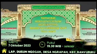 🔴Ngogak Banyubiru Bersholawat