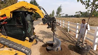 Planting the Trees Along Our Lane! 🌳🙌😍 // Garden Answer