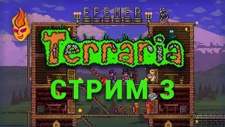 Terraria трансляция №3