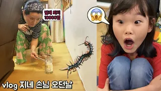 vlog 지네소탕 작전 😱😱😱라임이네 일상 브이로그 12시간 | 비빔면 먹방과 마인크래프트 쇼핑 | centipede eradication campaign