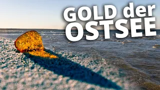 Bernstein - das Gold der Ostsee