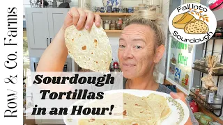 Sourdough Discard Tortillas in an Hour! #fallintosourdough