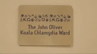 Irwins thank Russell Crowe and John Oliver for koala chlamydia clinic