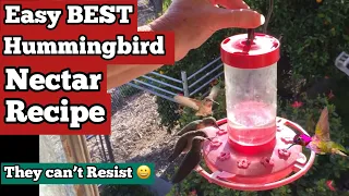 How to Make Hummingbird Nectar Recipe FOOD * PERFECT for Feeder to Attract Hummingbirds FAST & EASY