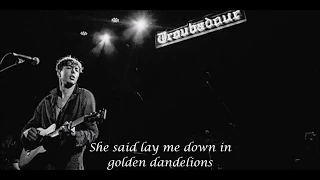 Barns Courtney - Golden Dandelions Lyrics