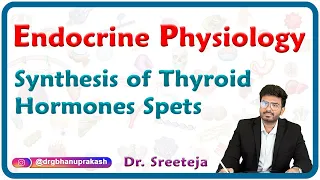 Synthesis Of Thyroid Hormones spets : Endocrine physiology USMLE Step 1