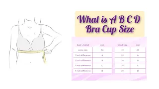 How to Measure Your Bra Size