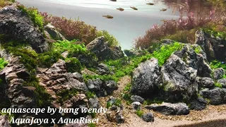 ● Aquascape tema brazilian style,..