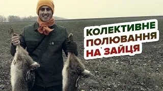 Колективне полювання на зайця/Колективная охота на зайца