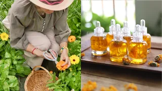 5 Ways to Eat and Use Calendula, Calendula Oil, Calendula Jelly, Calendula Tea, Flower Butter ......