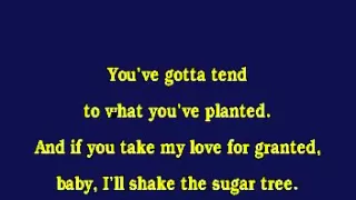 Jv0062 10   Tillis, Pam   Shake The Sugar Tree [karaoke]
