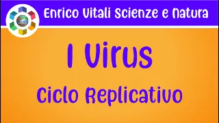 I virus: ciclo replicativo spiegato in modo semplice.