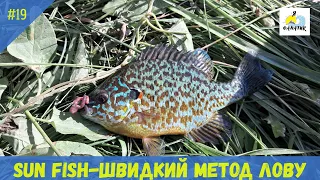 Sun Fish!Easy Effective Method!Сонячний Окунь.Результативний Метод Який Приносить Масу Задоволення!