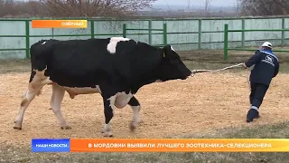 В Мордовии выявили лучшего зоотехника-селекционера