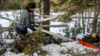 14 Days of building shelters, huts, and cabins under snowy winter  -40℃ - Life in the forest