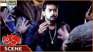 Aaru Movie || Surya Burn Ashish Vidyarthi's Brothers || Surya, Trisha, Vadivelu || Shalimarcinema