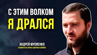 Ямалец строит под Петербургом «Парк северных волков»