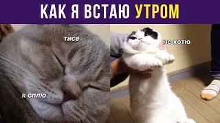 Приколы. Как я встаю утром | Мемозг #23