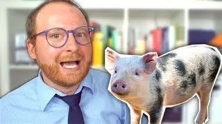 Wie man seinen inneren Schweinehund besiegt — Doktor Allwissend