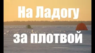 Рыбалка на Ладоге