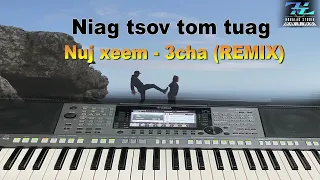 niag tsov tom tuag - nuj xeem 3cha (REMIX)