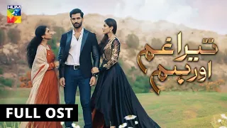 Tera Ghum Aur Hum | Full OST | HUM TV | Drama