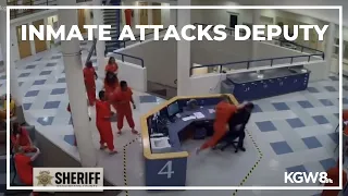 Video: Inmate attacks deputy in Washington County jail