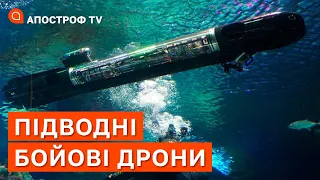 ПІДВОДНІ ЧОВНИ РФ: підводні дрони можуть знаходити та нищити флот росії / РИЖЕНКО
