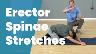 3 Erector Spinae Stretches