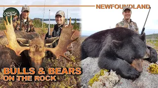 Combo Spot and Stalk Moose & Bear Hunt in Newfoundland | Canada in the Rough