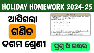 Mathematics Class 10 holiday homework  2024 || Mathematics Holiday Homework 2024-25 Answer
