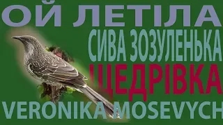 Anastassija - Щедрий вечір, Ой летіла сива зозуленька