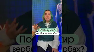 ТАЙНА ГОРБА ВЕРБЛЮДА?! #биология #огэ #животные #факты