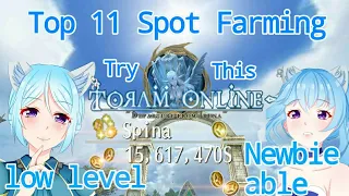 Top spot spina for Newbies! | Toram Online