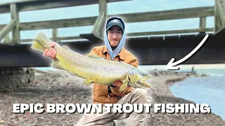 INCREDIBLE Fly Fishing for BIG Brown Trout! // Fishing Western New York Tributaries